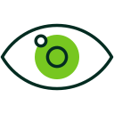 vision